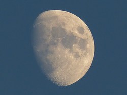 L0020