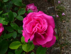 L0032