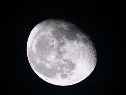 L0106
