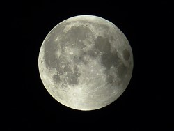 L0222